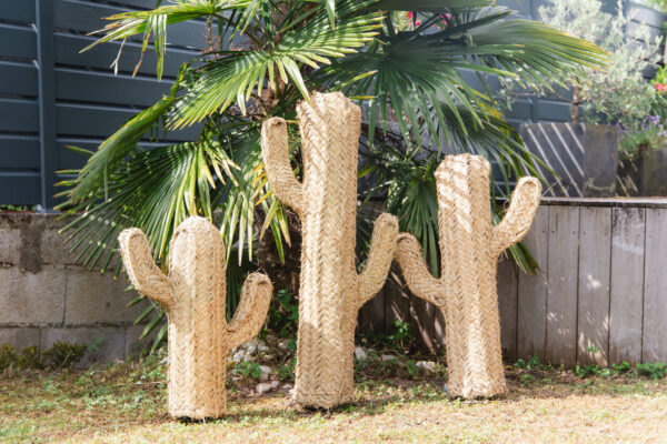 Cactus en fibre naturelle – Image 5