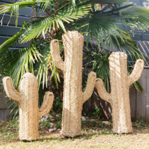 CACTUS EN DOUM