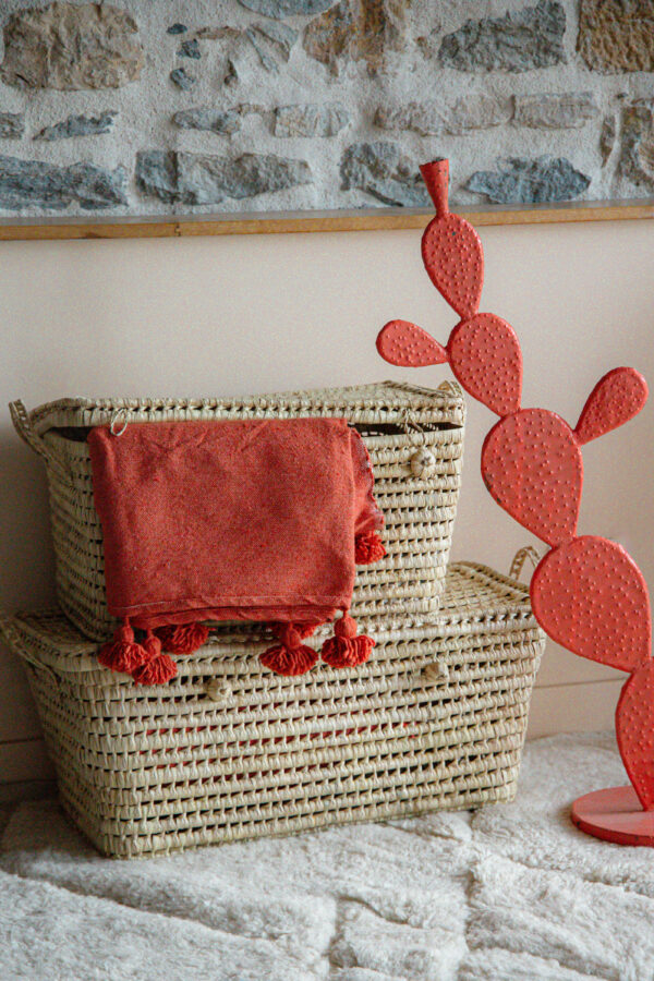 MAGNIFIQUE MALLE EN FIBRE DE CASTUS